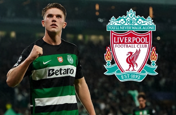 广州华鑫 阿森纳挖角约克雷斯转会谈判停滞