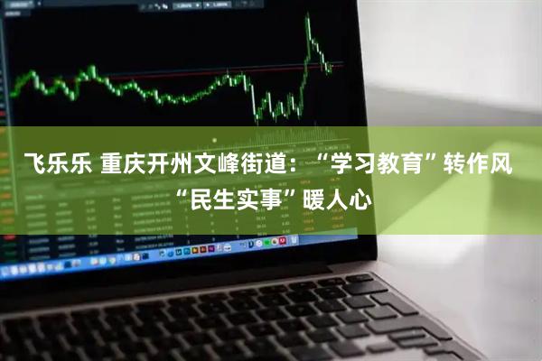 飞乐乐 重庆开州文峰街道：“学习教育”转作风 “民生实事”暖人心
